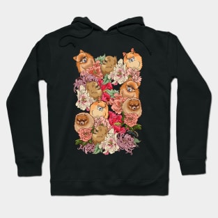 Because Pomeranians Hoodie